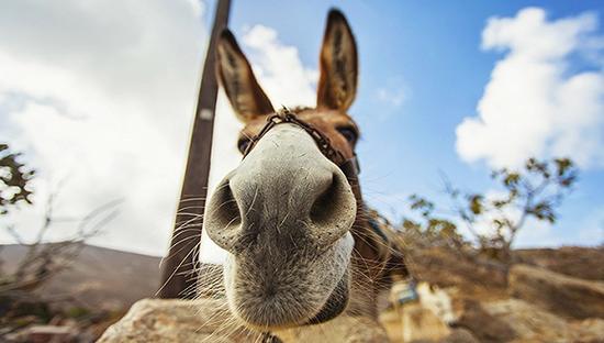 圖片來源:視覺中國