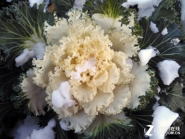 水土不“服” AGM A1三防旅行手機(jī)評(píng)測(cè) 