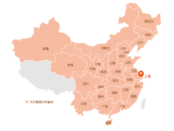 大大集團被查 大大集團