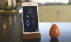 cluck烹飪溫度監測器：略奇葩