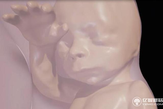 VR技術再顛覆:讓孕媽提前與肚子里的寶寶見面