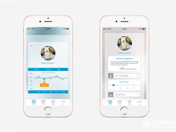不僅僅吃喝 這個智能狗盆還能監測食量和健康