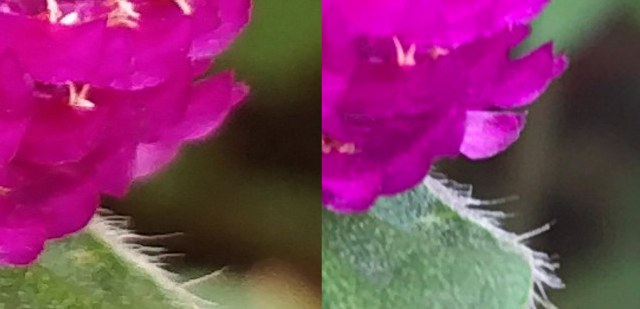 一加5和iPhone7 Plus哪個好？蘋果7P與一加5區別對比