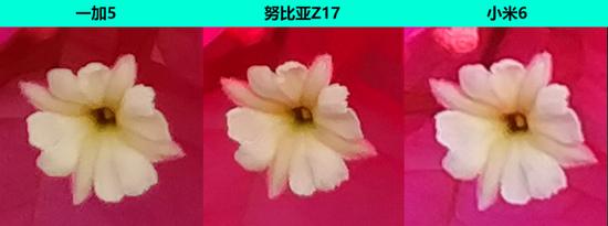 100%放大細節對比