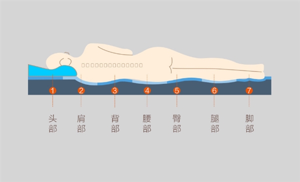 999元起！小米眾籌8H乳膠床墊R1發(fā)布：七分區(qū)設(shè)計(jì)