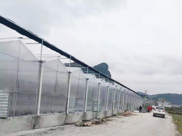 溫室大棚為什么要選用PC陽光板做覆蓋材料？