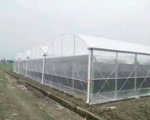 玻璃溫室