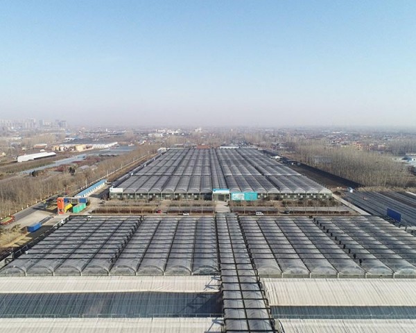 溫室工程案例